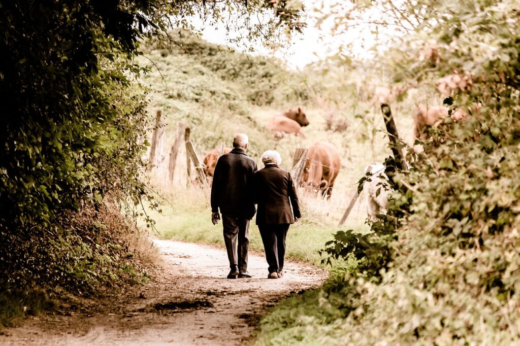 elderly, couple, walking-2914879.jpg